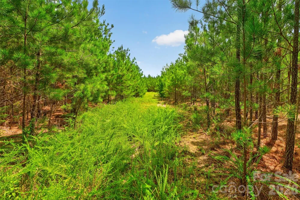 0000 Westbrook Road #5 Edgemoor, SC 29712
