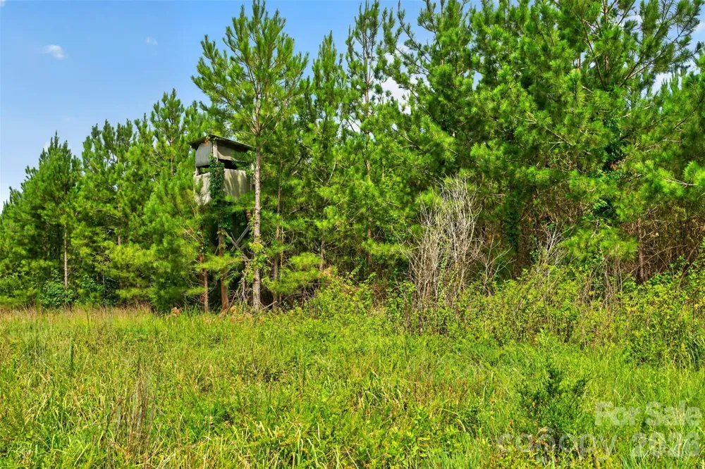 0000 Westbrook Road #5 Edgemoor, SC 29712