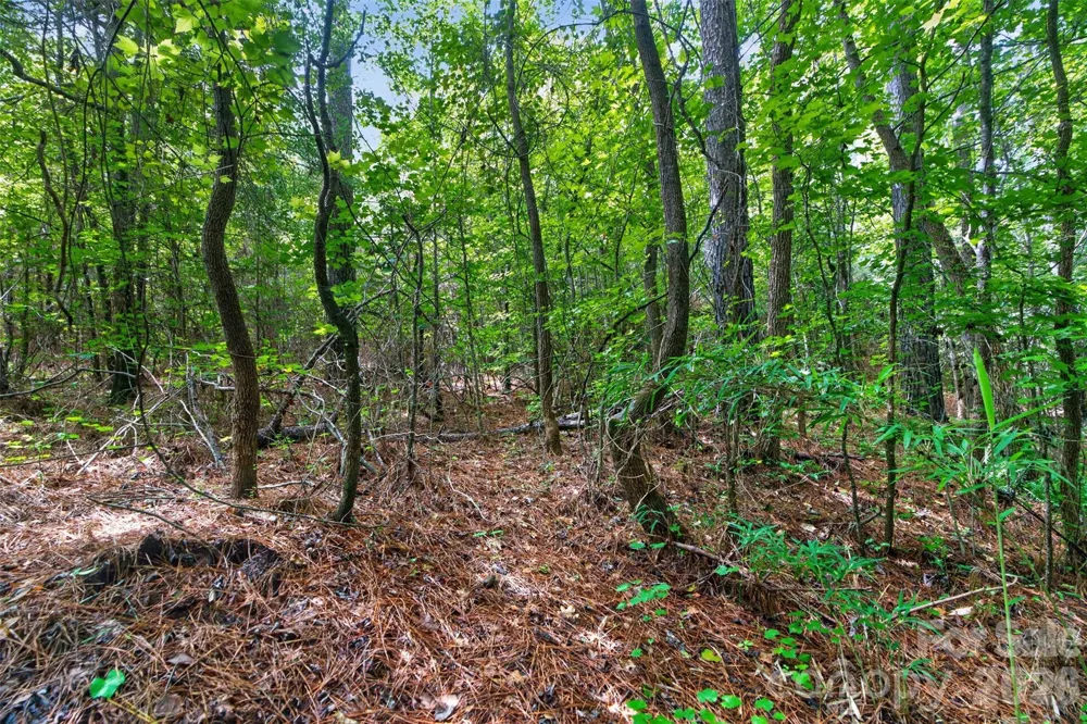 0000 Westbrook Road #5 Edgemoor, SC 29712