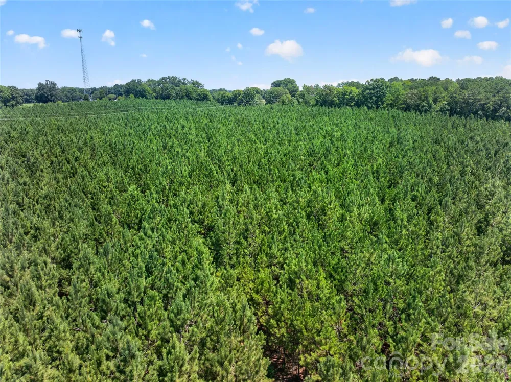 0000 Westbrook Road #5 Edgemoor, SC 29712