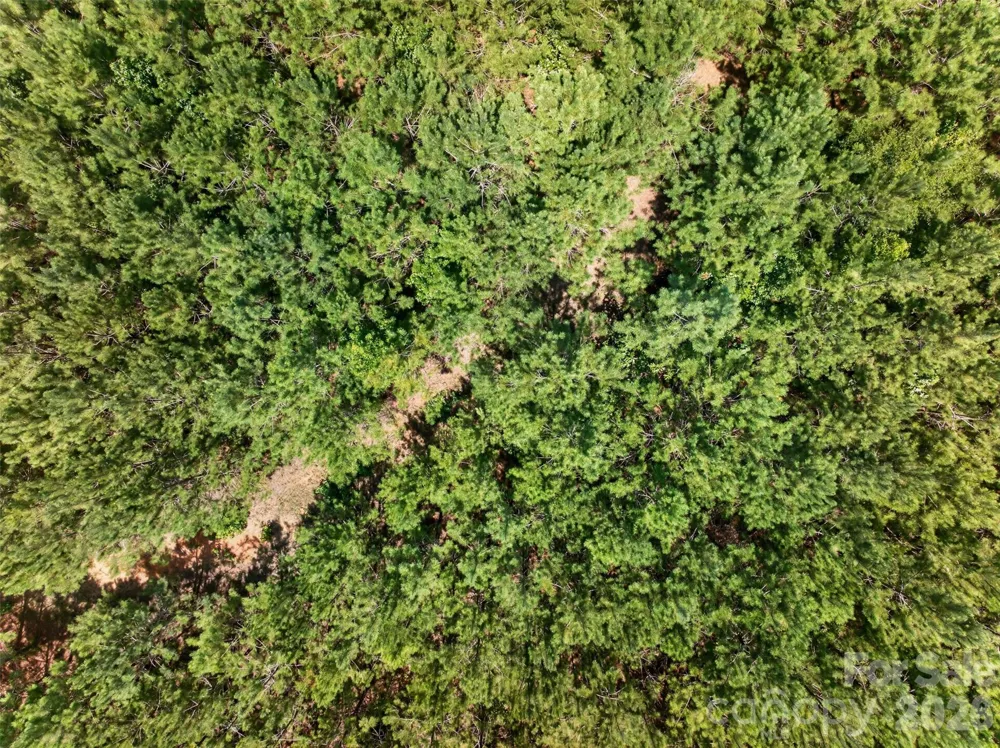 0000 Westbrook Road #5 Edgemoor, SC 29712