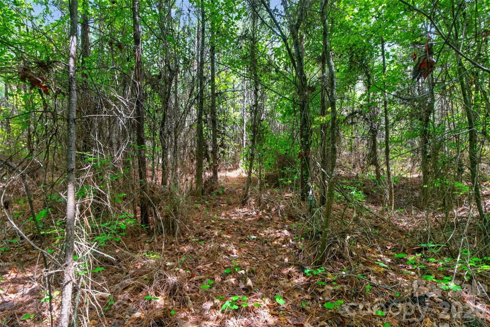 0000 Westbrook Road #5 Edgemoor, SC 29712
