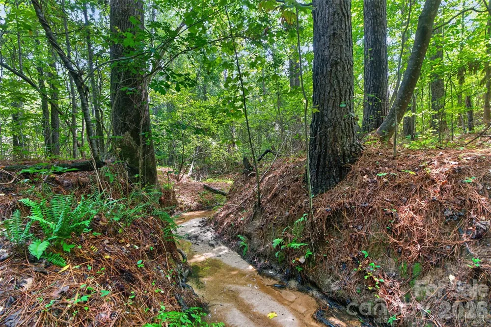 0000 Westbrook Road #5 Edgemoor, SC 29712