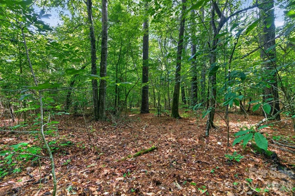 0000 Westbrook Road #5 Edgemoor, SC 29712