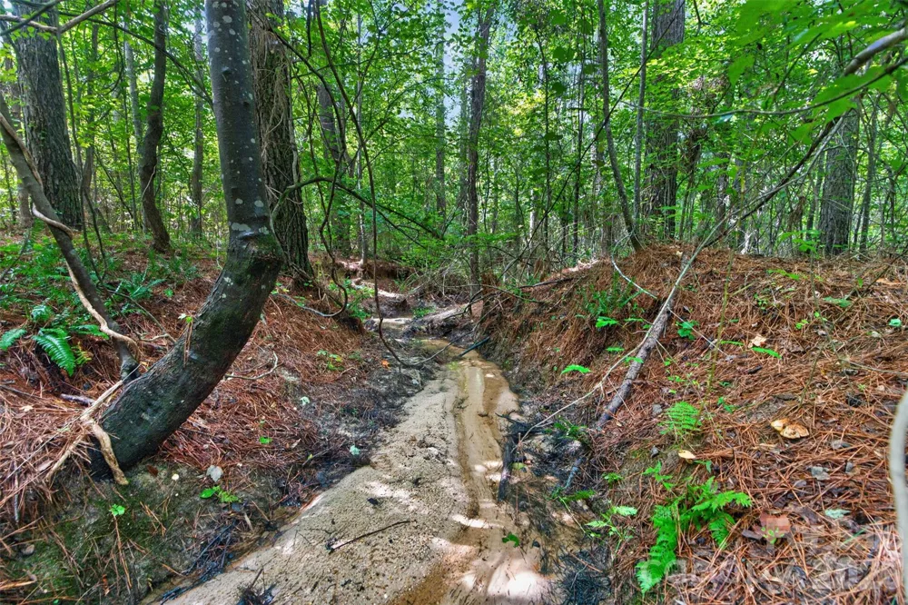 0000 Westbrook Road #5 Edgemoor, SC 29712