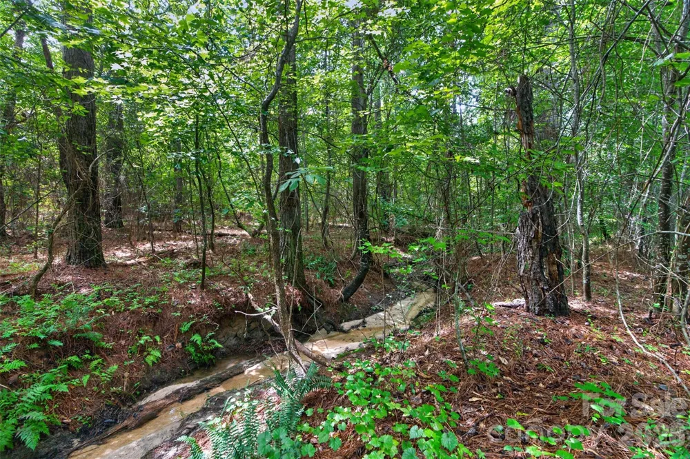 0000 Westbrook Road #5 Edgemoor, SC 29712