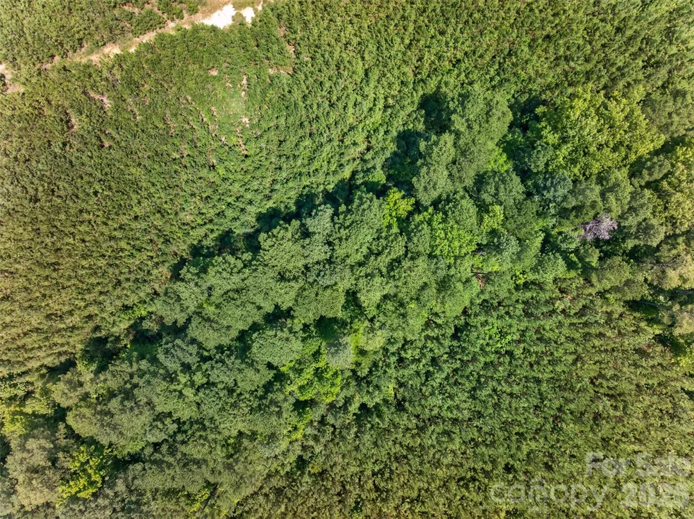 0000 Westbrook Road #5 Edgemoor, SC 29712