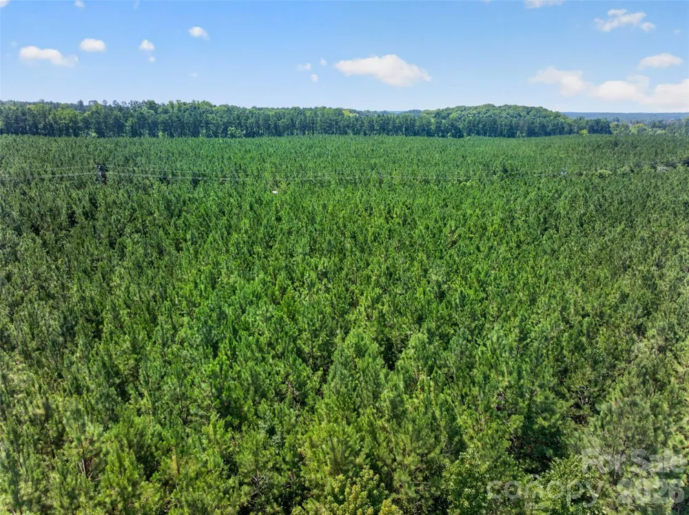 0000 Westbrook Road #5 Edgemoor, SC 29712