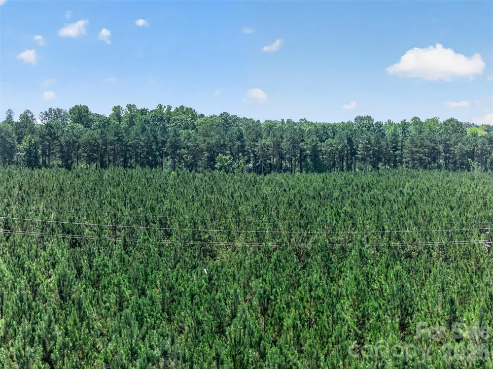 0000 Westbrook Road #5 Edgemoor, SC 29712