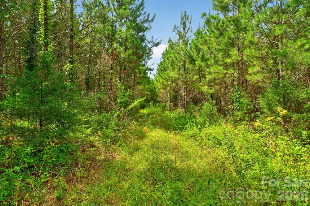 0000 Westbrook Road #5 Edgemoor, SC 29712