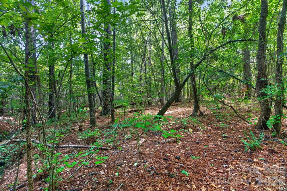 0000 Westbrook Road #5 Edgemoor, SC 29712