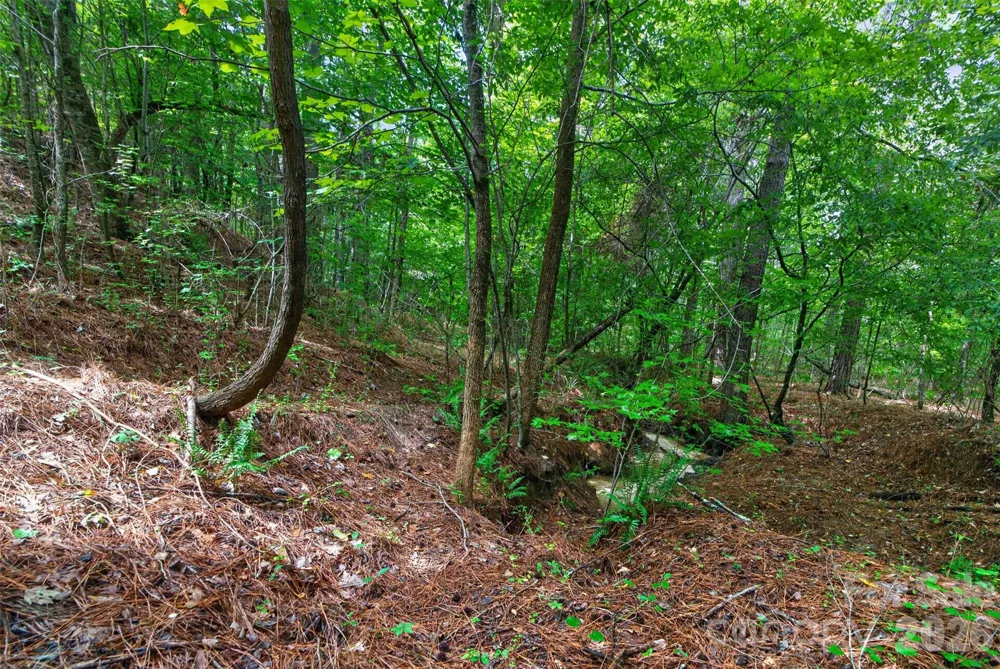0000 Westbrook Road #5 Edgemoor, SC 29712