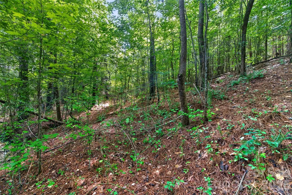 0000 Westbrook Road #5 Edgemoor, SC 29712