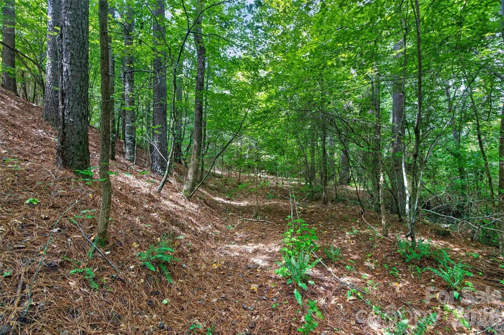0000 Westbrook Road #5 Edgemoor, SC 29712