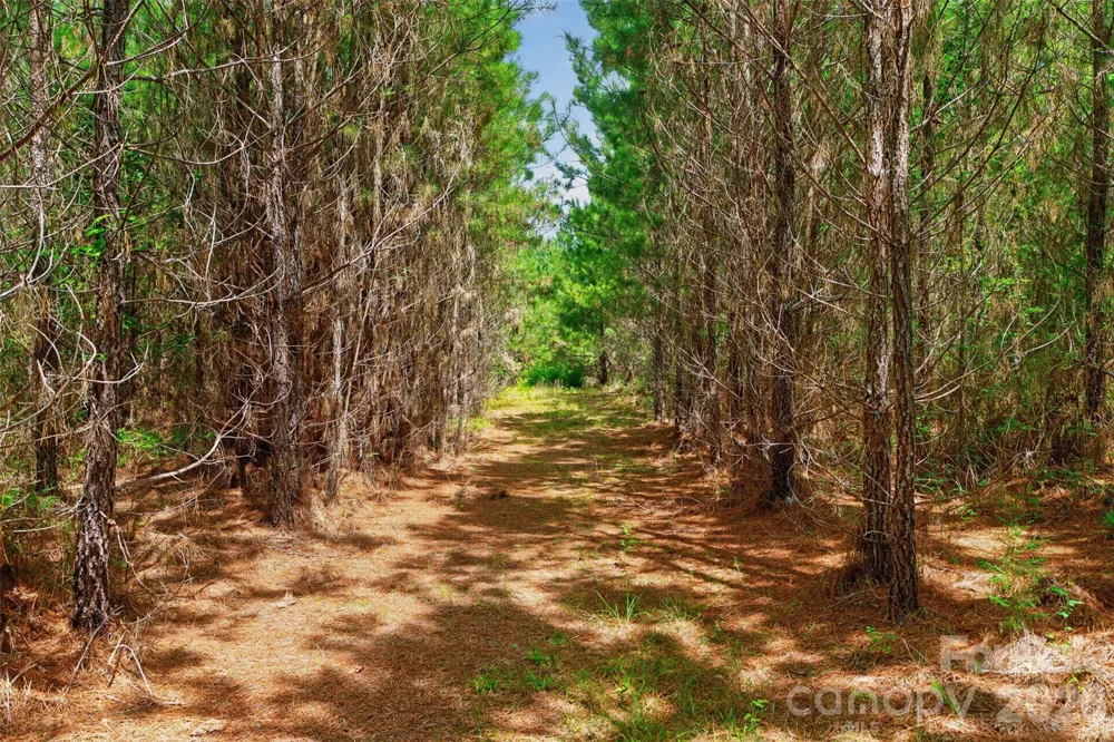 0000 Westbrook Road #5 Edgemoor, SC 29712