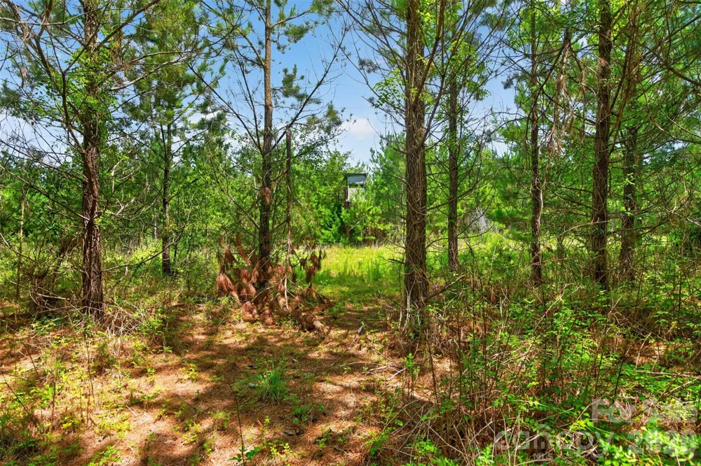 0000 Westbrook Road #5 Edgemoor, SC 29712