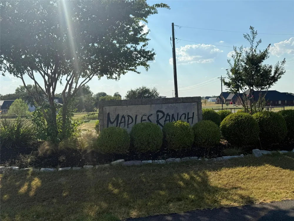 123 Rene Lane Gunter, TX 75058
