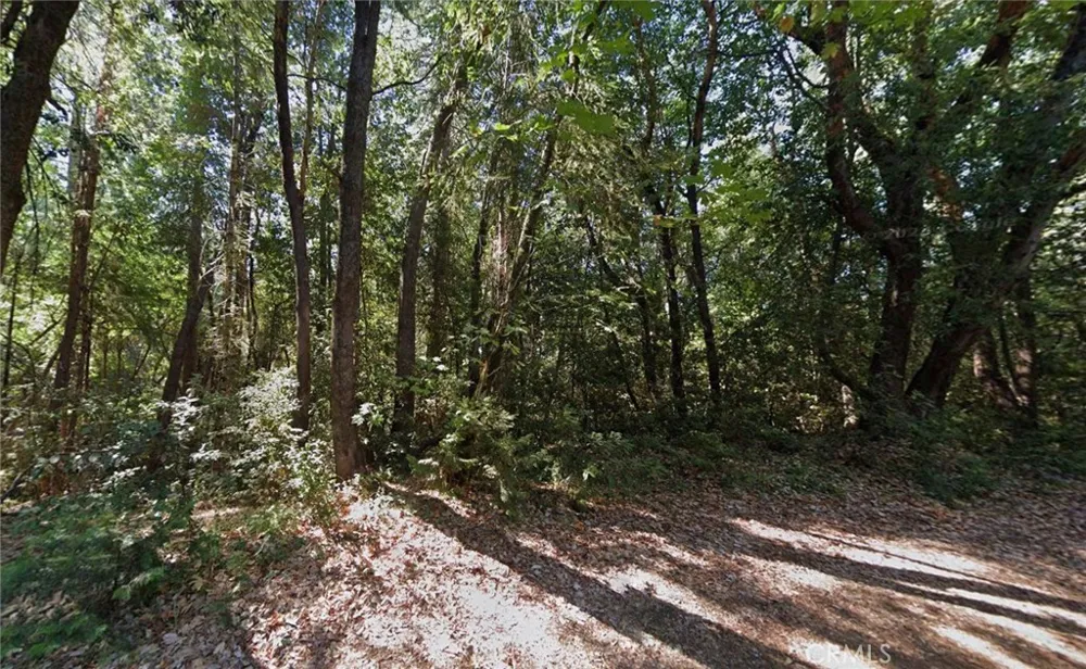 10807 Forbestown Road Challenge, CA 95925