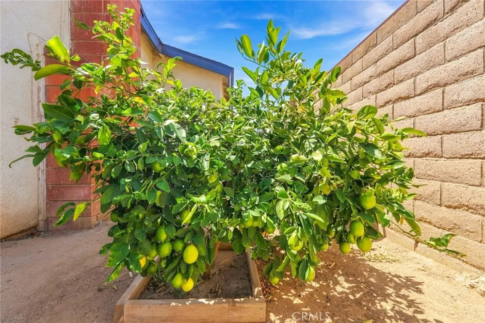 4263 Baggett Riverside, CA 92505