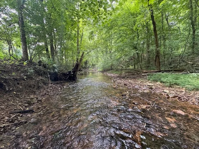 6572 Hassell Creek Rd Lyles, TN 37098