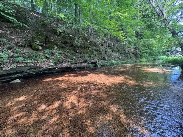 6572 Hassell Creek Rd Lyles, TN 37098