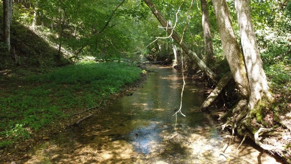 6572 Hassell Creek Rd Lyles, TN 37098