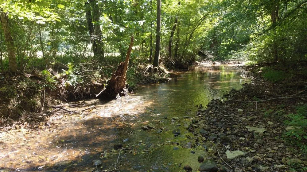 6572 Hassell Creek Rd Lyles, TN 37098
