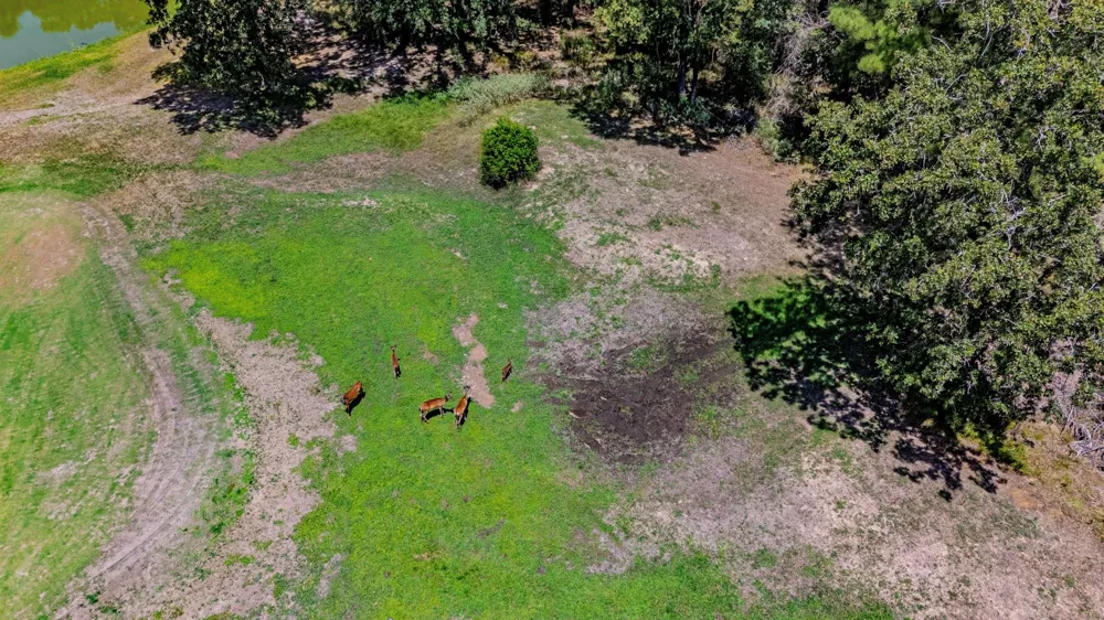 Doral Drive Huntsville, TX 77320