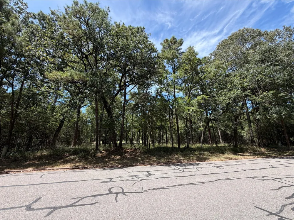 Doral Drive Huntsville, TX 77320