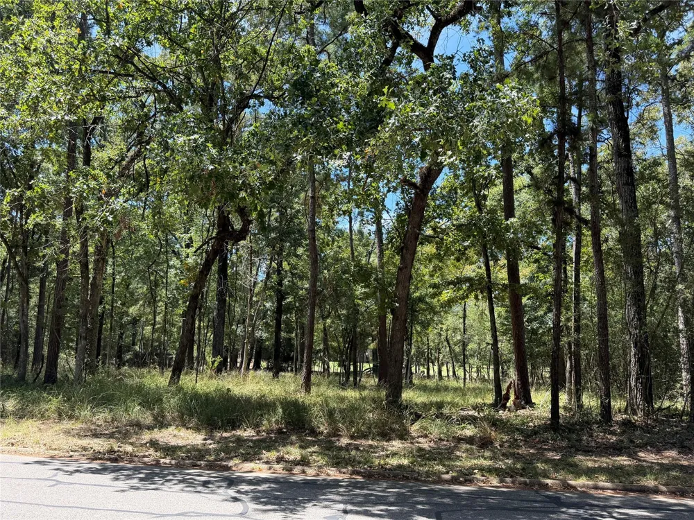Doral Drive Huntsville, TX 77320