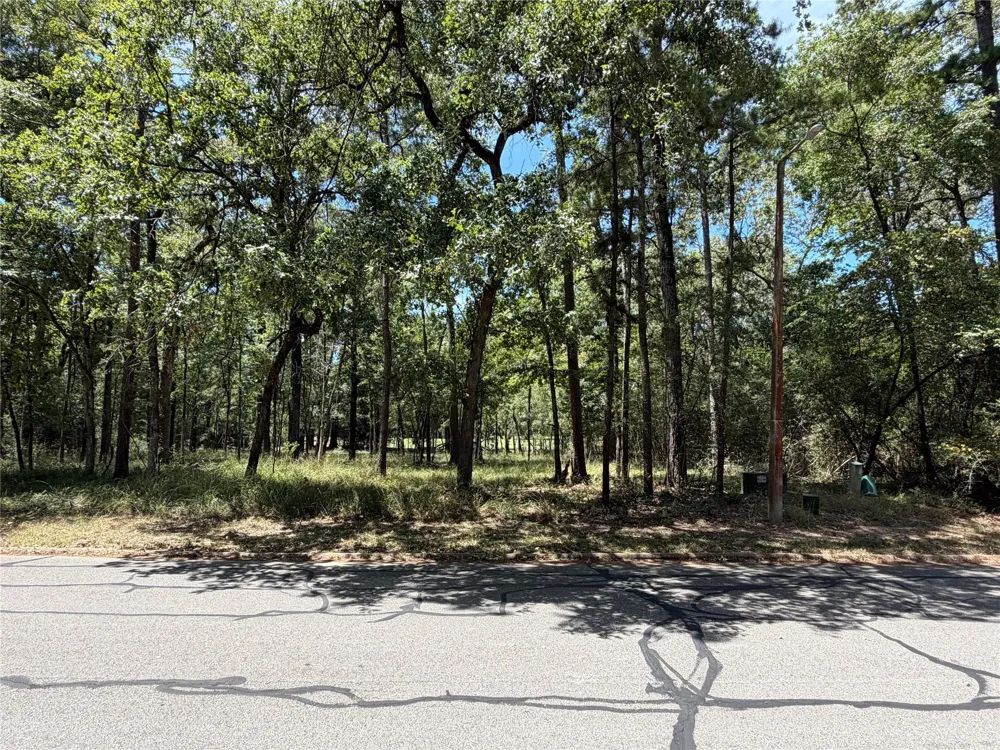 Doral Drive Huntsville, TX 77320