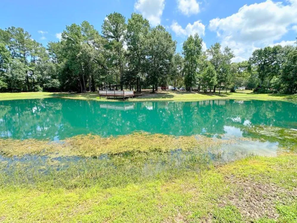 25920 Grand Pines Magnolia, TX 77355