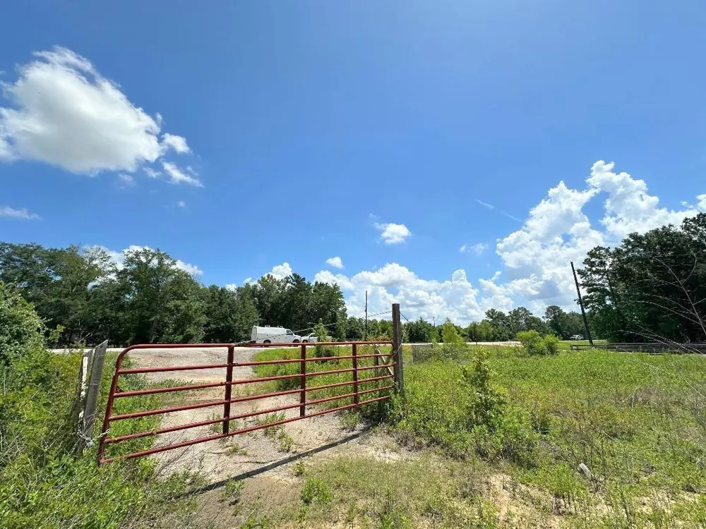 25920 Grand Pines Magnolia, TX 77355