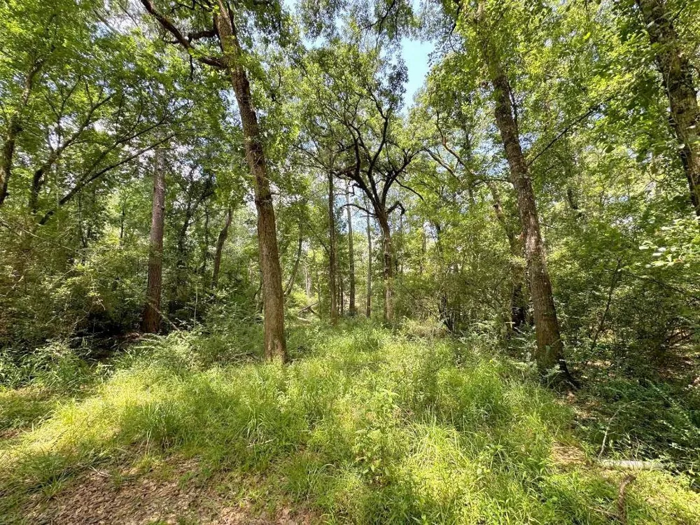25920 Grand Pines Magnolia, TX 77355