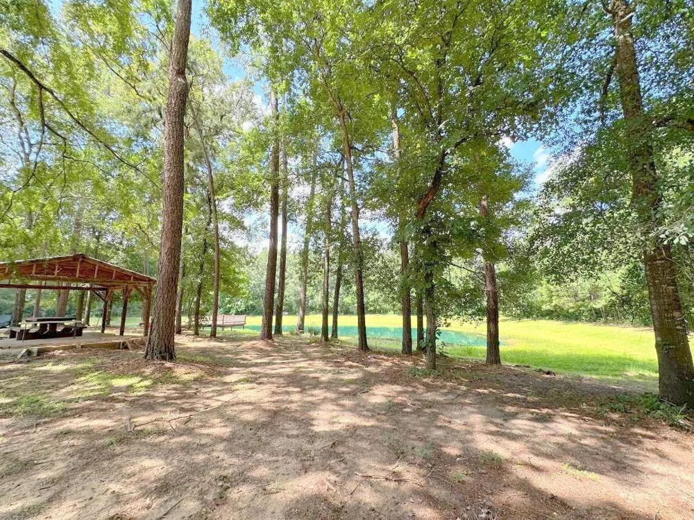 25920 Grand Pines Magnolia, TX 77355