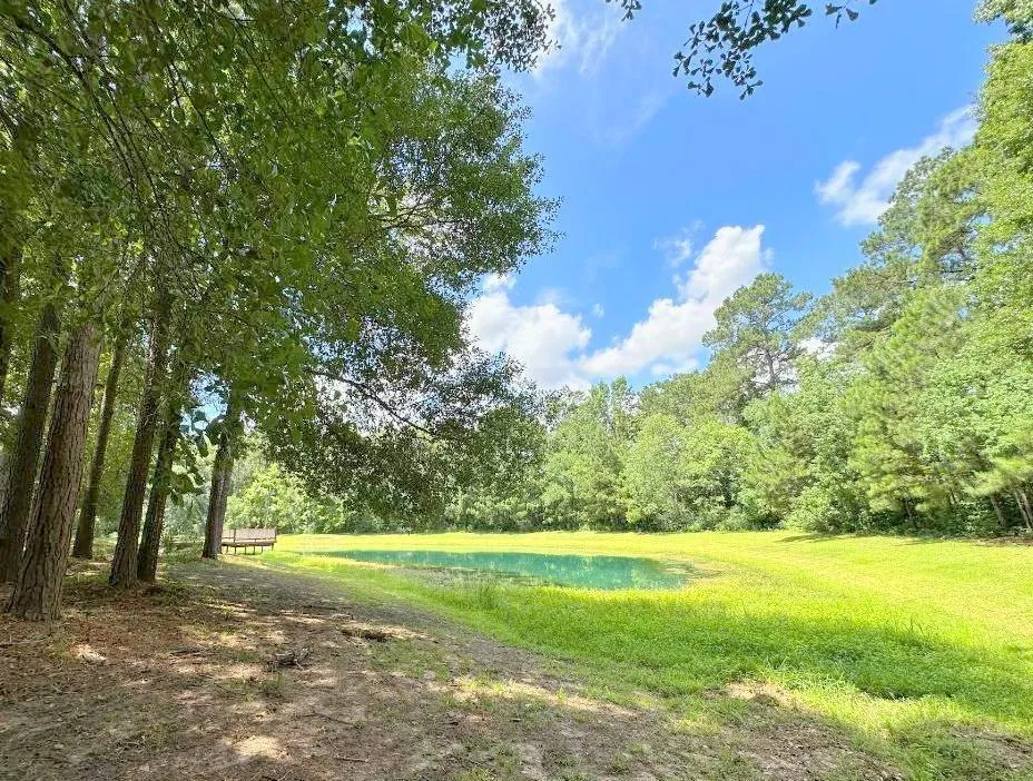 25920 Grand Pines Magnolia, TX 77355