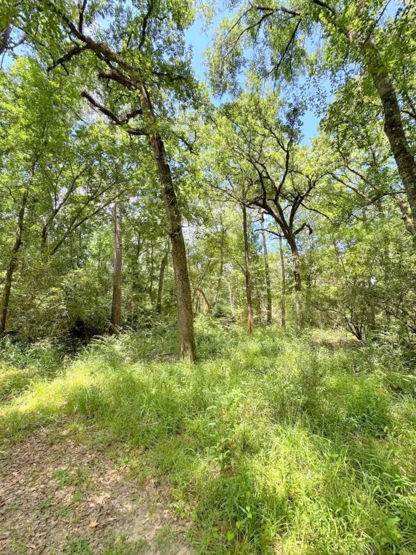 25920 Grand Pines Magnolia, TX 77355