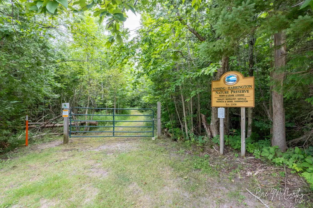 7847 Lake Street Alanson, MI 49706