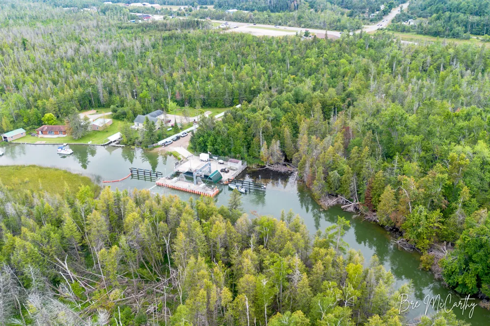 7847 Lake Street Alanson, MI 49706