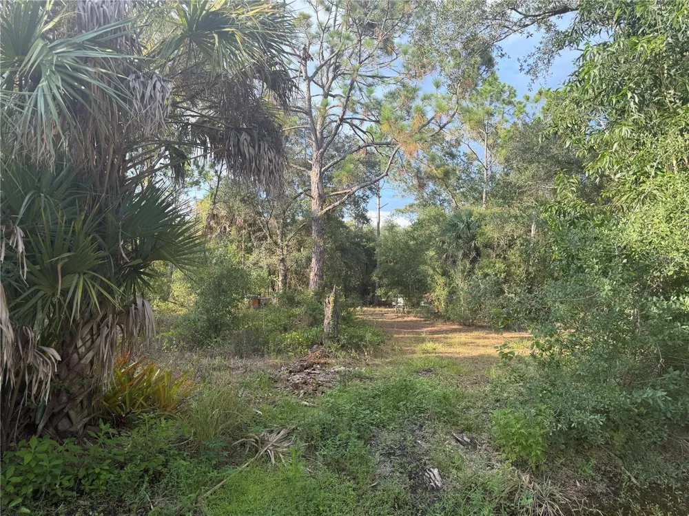 28202 ALATADENA DRIVE Punta Gorda, FL 33955