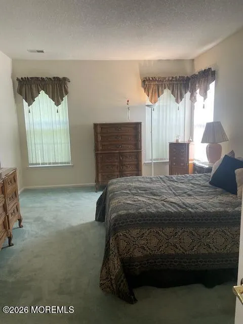 28 Spring Meadow Drive Lakewood, NJ 08701