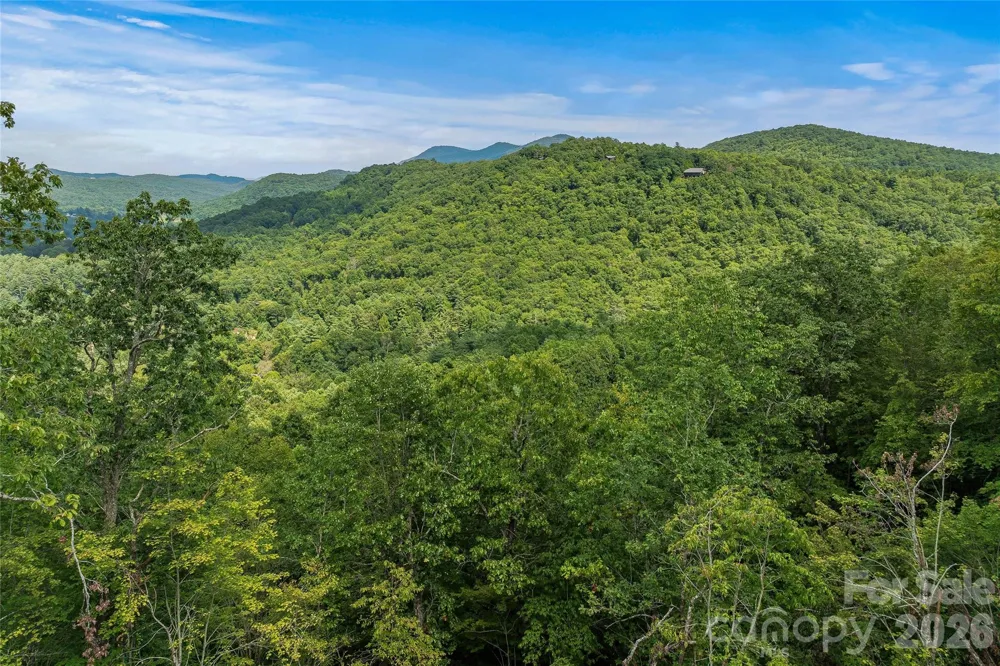 0 Morgan Drive Penrose, NC 28766