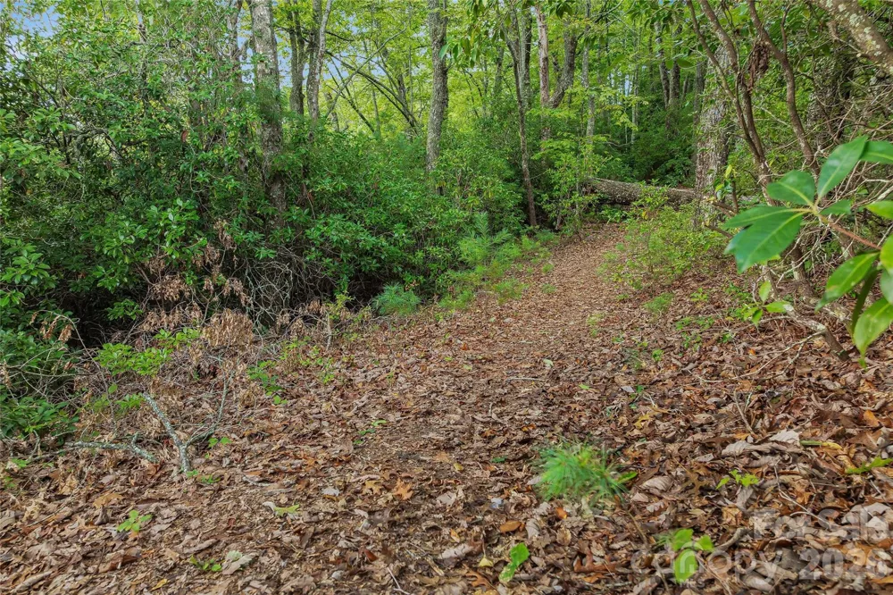 0 Morgan Drive Penrose, NC 28766
