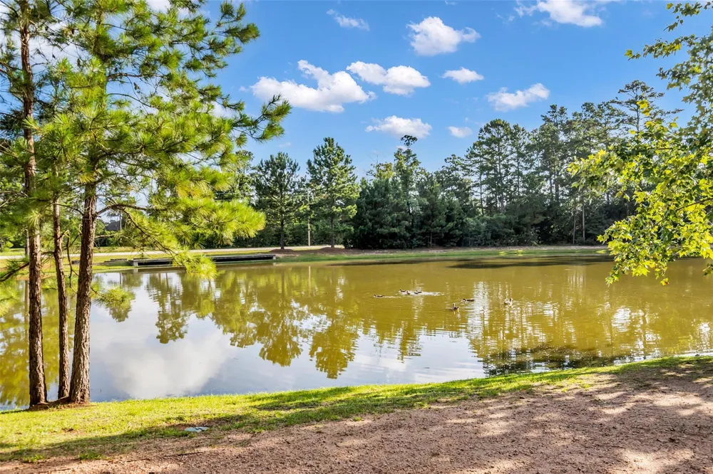 16 Clearview Terrace Place The Woodlands, TX 77375