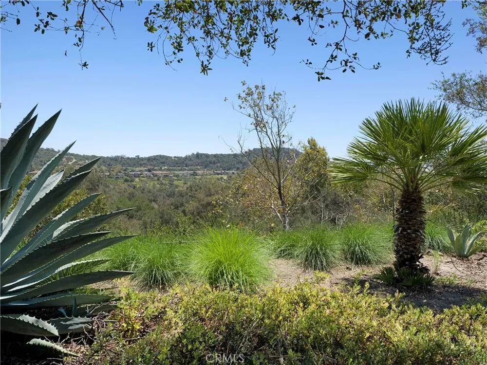 20 Via Soria San Clemente, CA 92673