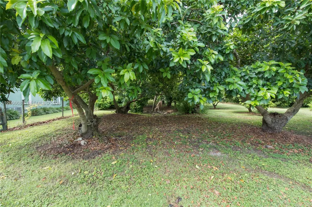 15720 SW 258th St Homestead, FL 33031