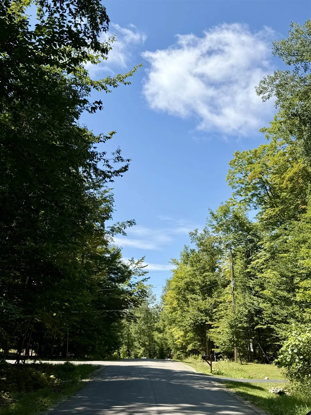 Shawnee Trail Torch Lake Township, MI 49648