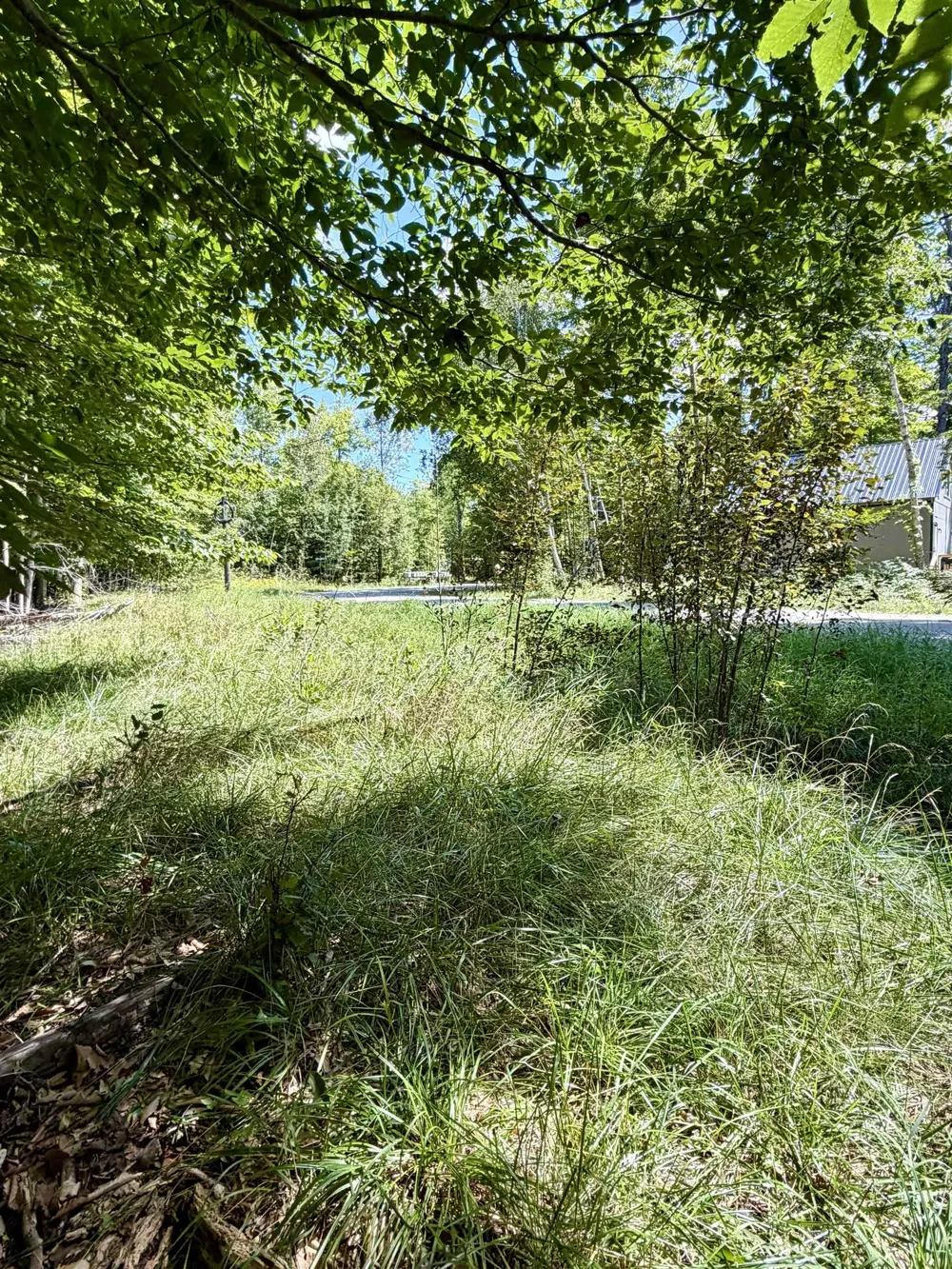Shawnee Trail Torch Lake Township, MI 49648
