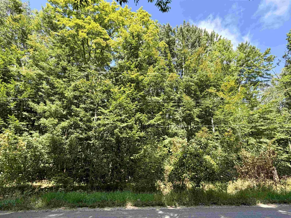 Shawnee Trail Torch Lake Township, MI 49648