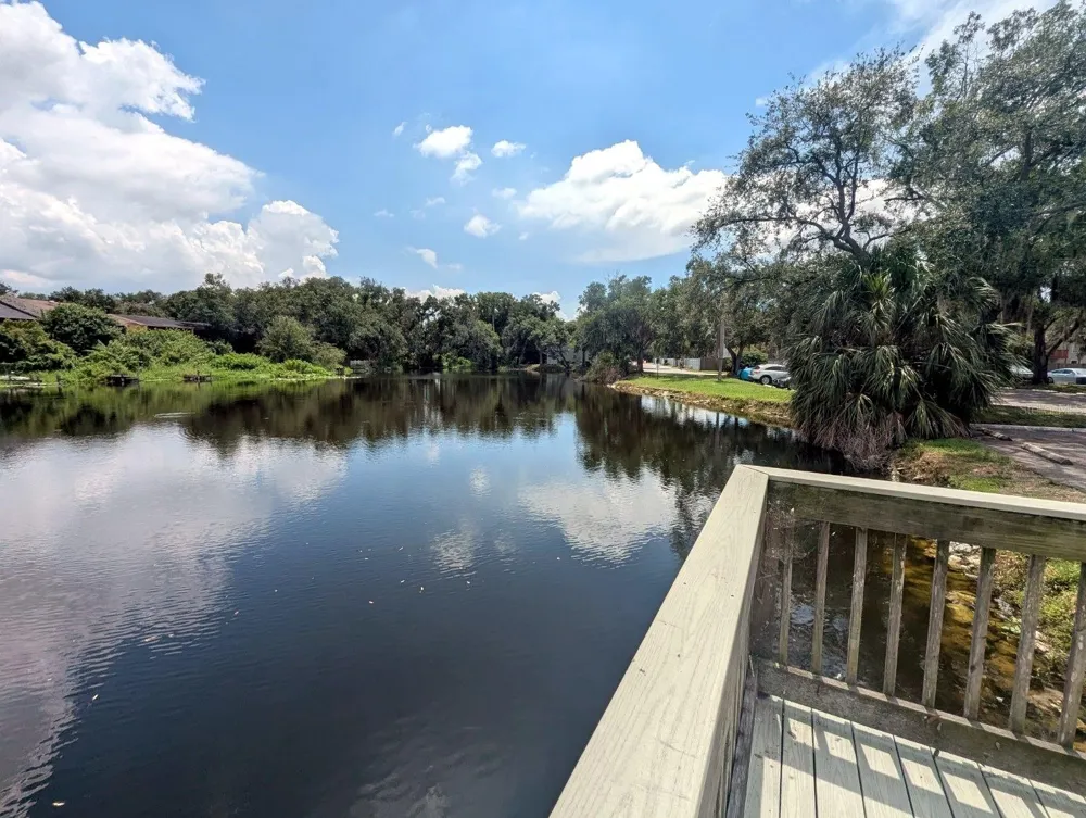 7154 E BANK DRIVE #7154 Tampa, FL 33617